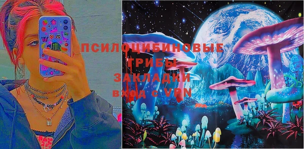 ГАЛЛЮЦИНОГЕННЫЕ ГРИБЫ Нефтекумск