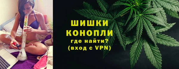 ГАЛЛЮЦИНОГЕННЫЕ ГРИБЫ Нефтекумск